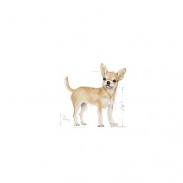 Royal Canin Chihuahua 85g comida húmeda