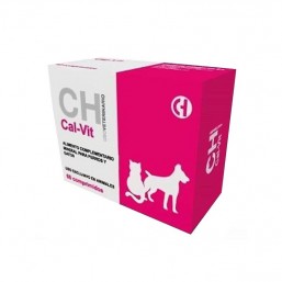 CalVit 60 comprimidos