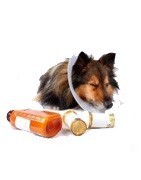 Productos de salud y medicamentos para perros