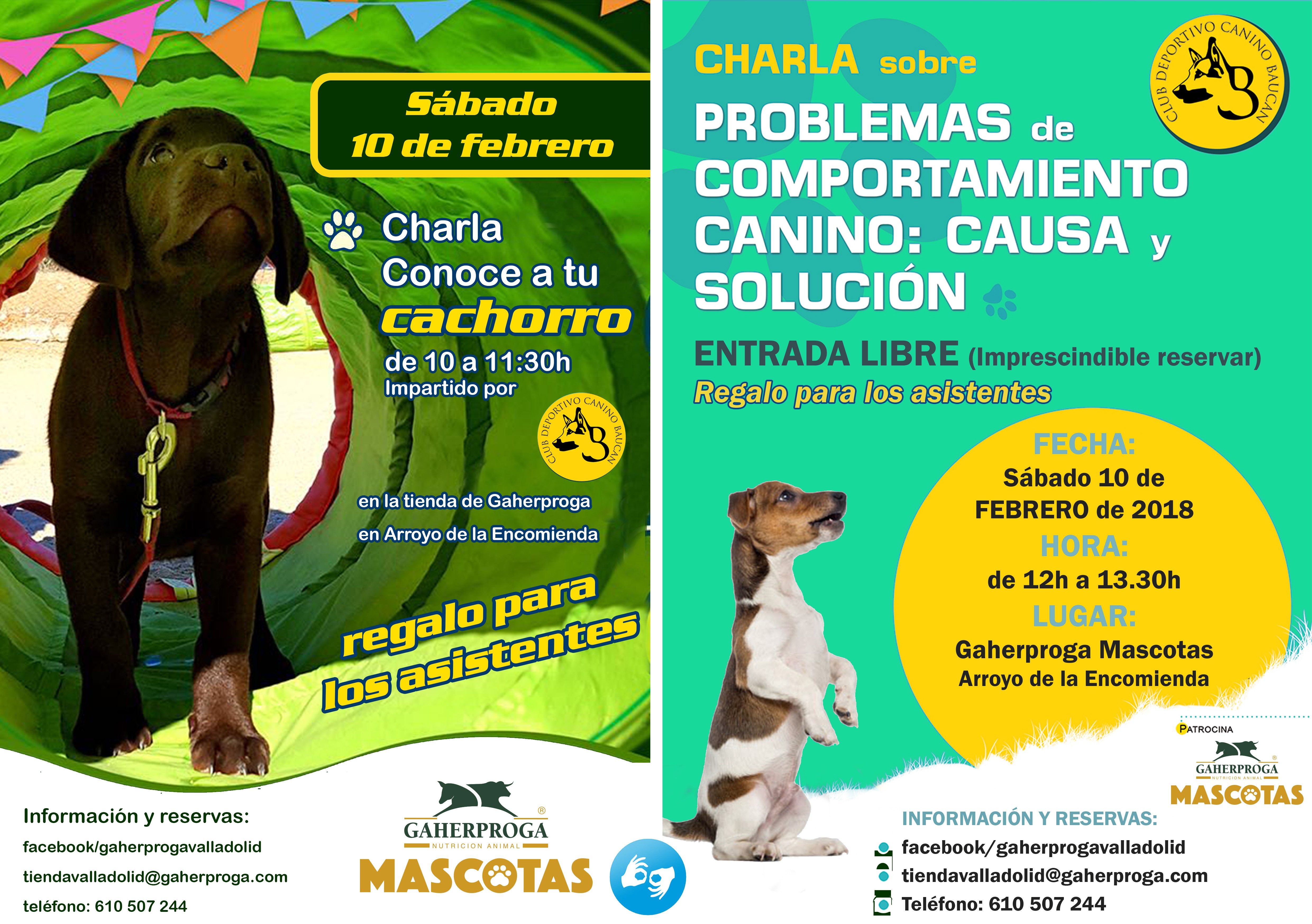 Charlas Gratuitas Club Canino Baucan (Cadena SER 01-02-2018)