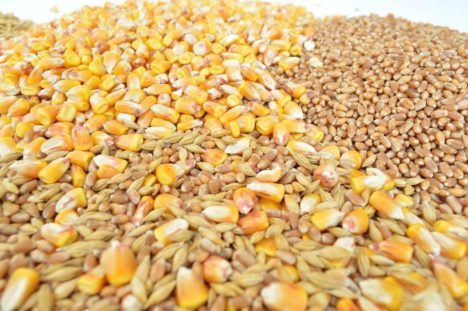 Precios Lonja Cereales Semana 39