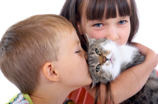 Estudio demuestra los beneficios de la posesión de gatos en la salud de sus propietarios